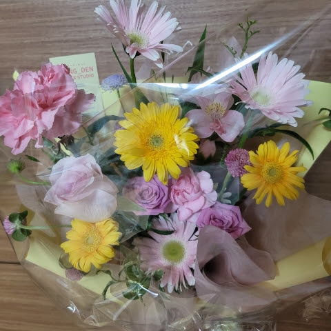 식물조아~ ☘️ 프로필