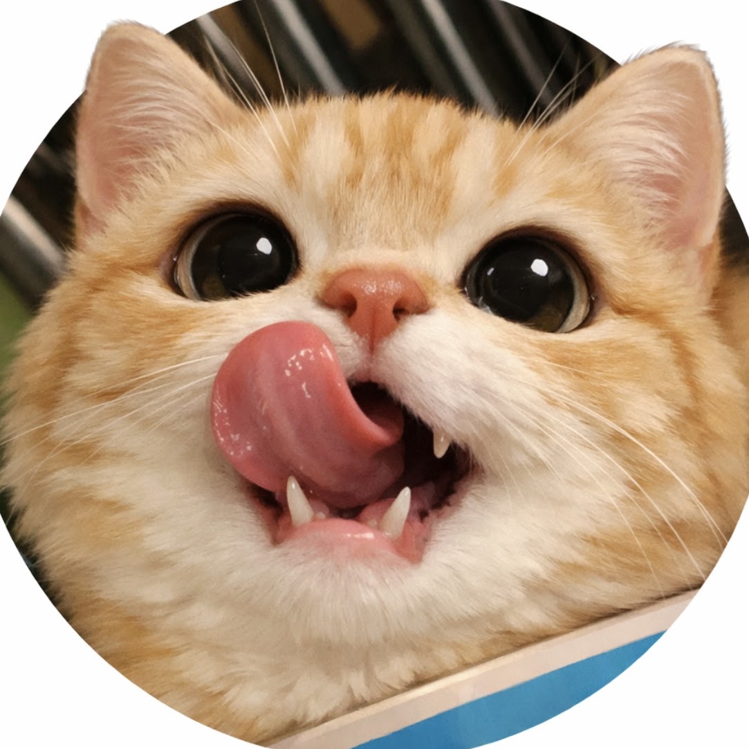 놀짱 채널 프로필