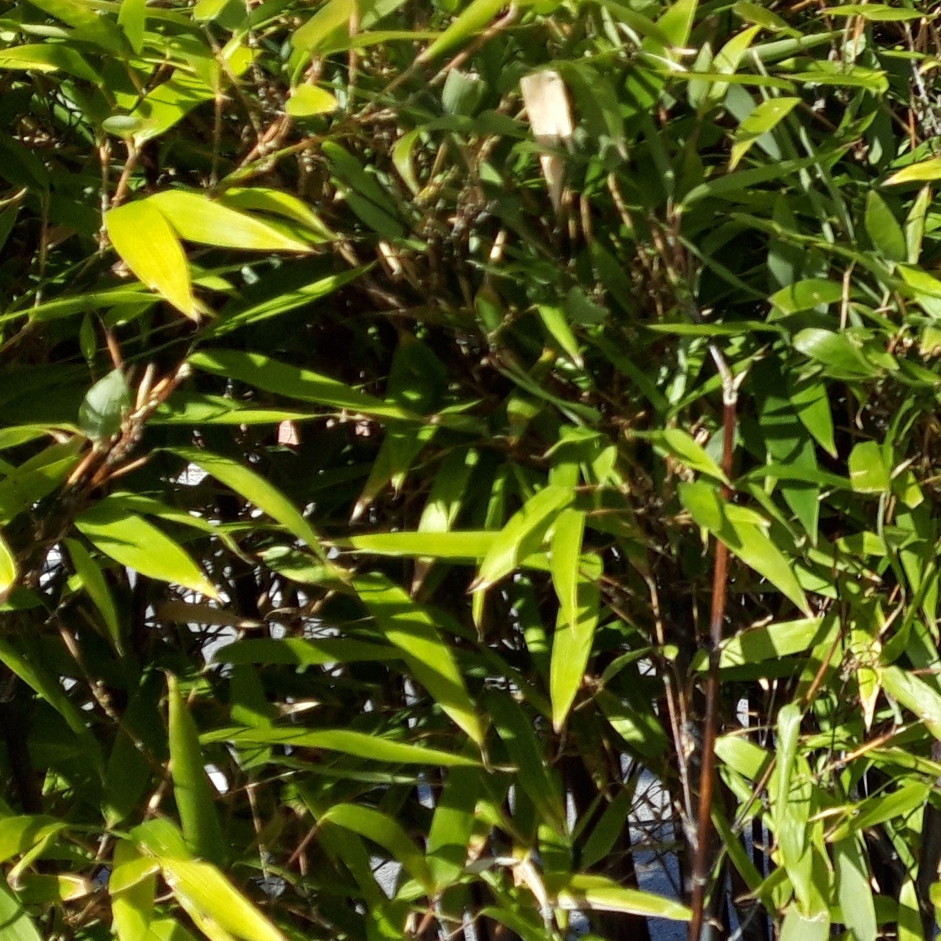 타임머신1 프로필