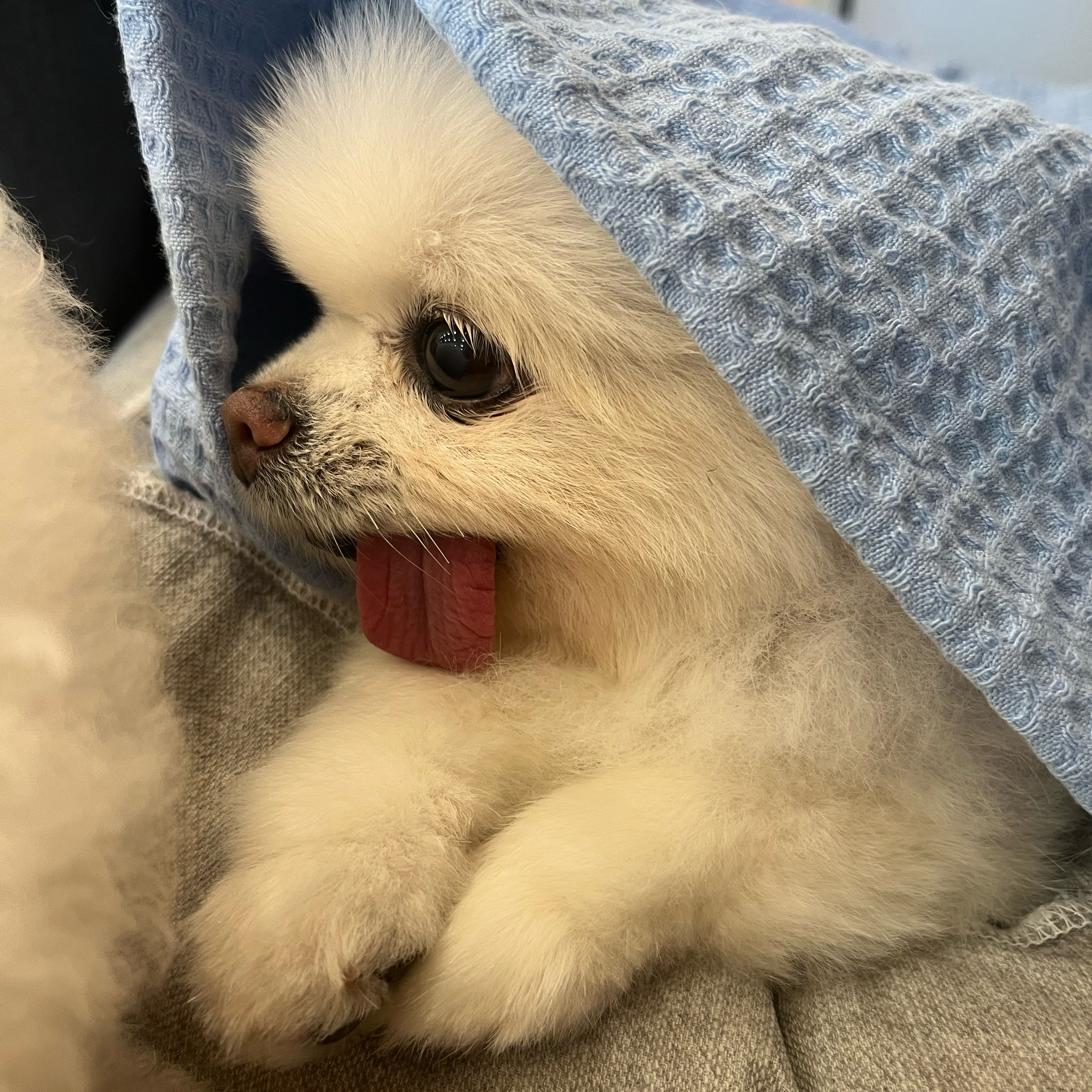 또뇨 채널 프로필