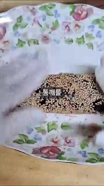 김밥 겉면에 통깨를 빈틈없이 묻혀줍니다. — 이정현 오이김밥 레시피