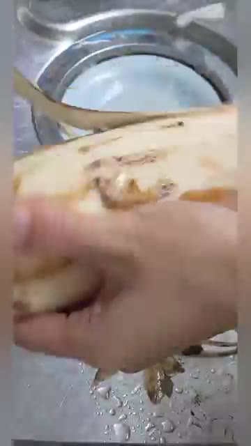 연근 껍질을 벗기고 깨끗하게 씻어줍니다. — 간단 연근조림 만들기