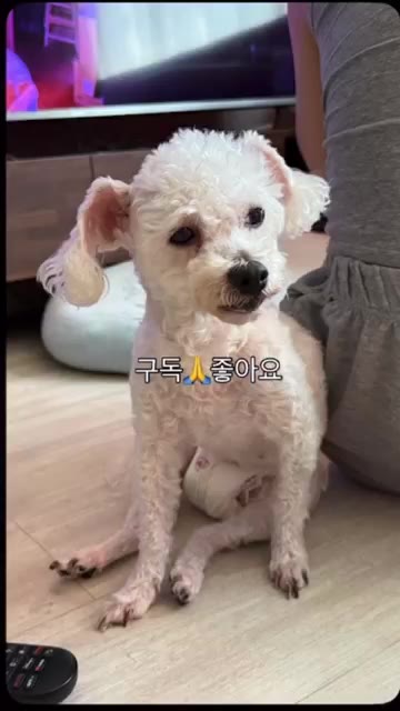 마늘쫑을 깨끗이 씻어 30초간 데친 후 찬물에 헹궈 물기를 제거하고… — 마늘쫑 비빔밥 만들기