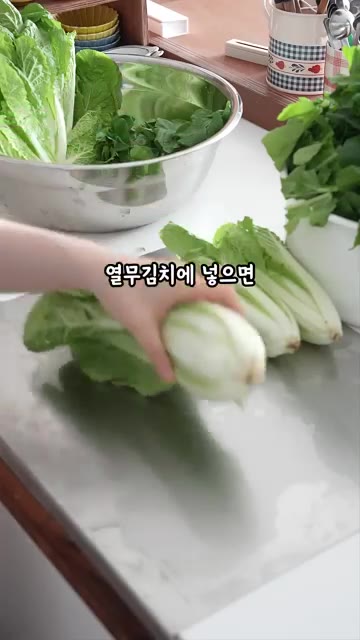 절여진 열무와 얼갈이를 두 번 정도 헹궈 물기를 빼줍니다. — 열무 물김치 레시피