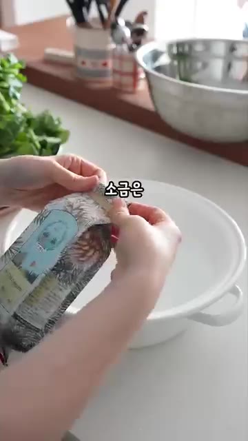 믹서기에 양파, 홍고추, 마늘, 생강, 배, 찬밥, 초피액젓, 천일… — 열무 물김치 레시피