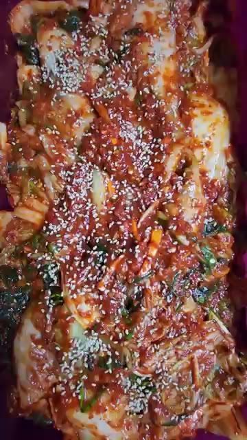 완성된 배추겉절이를 용기에 담고 참깨를 뿌려 마무리합니다. — 가을배추겉절이# 감칠맛 폭발김치 도망간 입맛 돌아오게하는 맛#엄마표