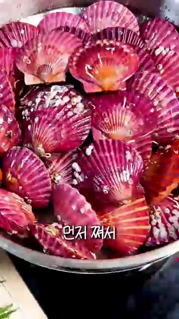 냄비에 물과 미림을 넣고 물이 끓어오르면 찜기를 올려 센 불에서 8… — 가을 제철 홍가리비 코스요리: 찜, 치즈구이, 칼국수