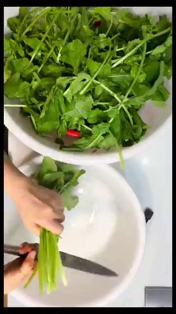 열무의 흙을 깔끔하게 제거하고 3~5cm 길이로 썰어 물기를 빼줍니다. — 내 입맛에 딱 맞춘 덜 달고 새콤한 열무 피클 만들기