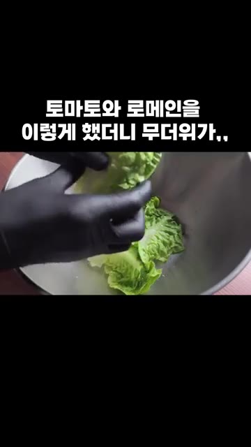 토마토도 그릇에 담아주세요. — 토마토와 로메인을 이렇게 했더니 무더위가,,