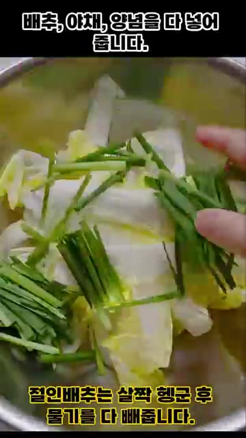 절인 배추와 쪽파, 양파를 넣고 양념과 함께 버무립니다. — 배추 하나로 맛있는 여름 반찬 만들기