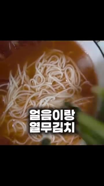 준비한 육수에 얼음과 열무김치를 넣어줍니다. — 초간단 5분 요리 열무 냉국수