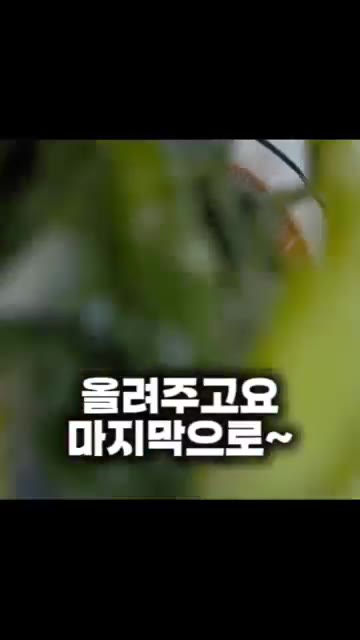 삶은 달걀을 올리고 마지막으로 데코해주면 완성입니다. — 초간단 5분 요리 열무 냉국수