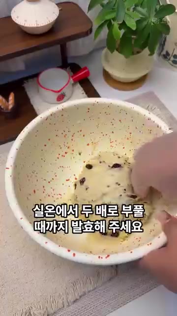 실온에서 두 배로 부풀 때까지 발효해주세요. — 반죽기 없이 에어프라이어에 굽기만 하세요! 유럽식 크랜베리 사워도우 빵