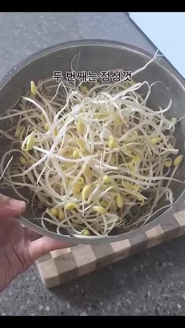 김치를 가위로 대충 썰어 준비한다. — 남편이 극찬한 칼칼 시원 김치콩나물국