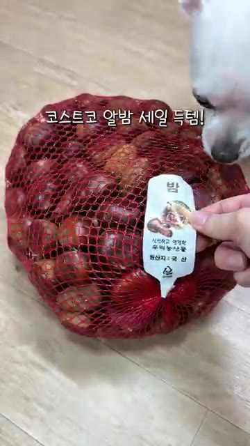 코스트코 알밤을 준비합니다. 큰 볼에 물을 붓고 소금을 넣어 알밤을… — 찜기 없이 압력솥으로 밤 찌는 법