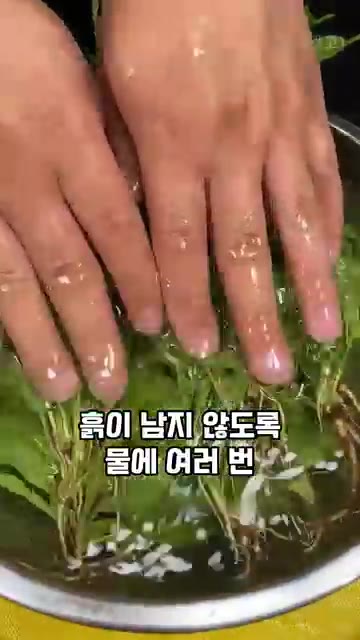 길가에서 흔히 보는 질경이를 차로 만들어 먹는 법을 소개합니다. 질… — 기관지 건강과 이뇨작용에 좋은 질경이, 이렇게 드셔보세요
