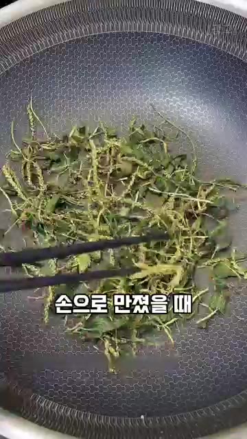 찐 질경이를 꺼내 충분히 식힌 후 물기를 최대한 제거하고, 기름을… — 기관지 건강과 이뇨작용에 좋은 질경이, 이렇게 드셔보세요