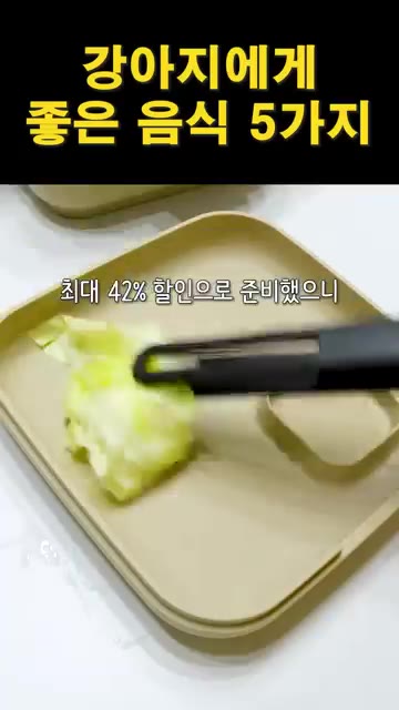 완성된 찜기를 접시에 담아 강아지에게 급여한다. — 강아지에게 좋은 음식 5가지
