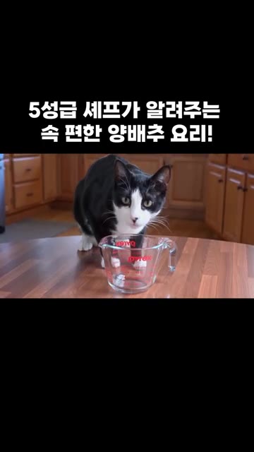 5성급 셰프가 알려주는 속 편한 양배추 요리! 계란 2개를 깨뜨려… — 5성급 셰프가 알려주는 속 편한 양배추 요리!