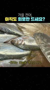 전어는 비늘을 깨끗이 씻고, 무와 감자는 큼직하게 썰어 준비합니다. — 가을 전어, 회나 구이로만 드셨다면 손해! 인생 밥도둑 전어조림 레시피