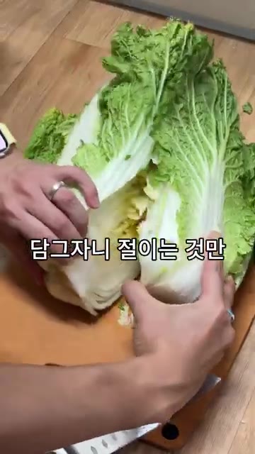 배추 한 포기를 준비합니다. 김치가 없어서 직접 담그기로 합니다. — 10분 만에 끝내는 마약 김치 레시피