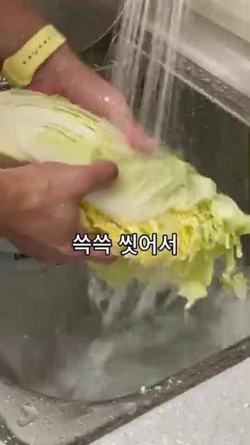 배추를 깨끗하게 씻어 물기를 탈탈 털어줍니다. 겉절이는 소금에 절이… — 10분 만에 끝내는 마약 김치 레시피