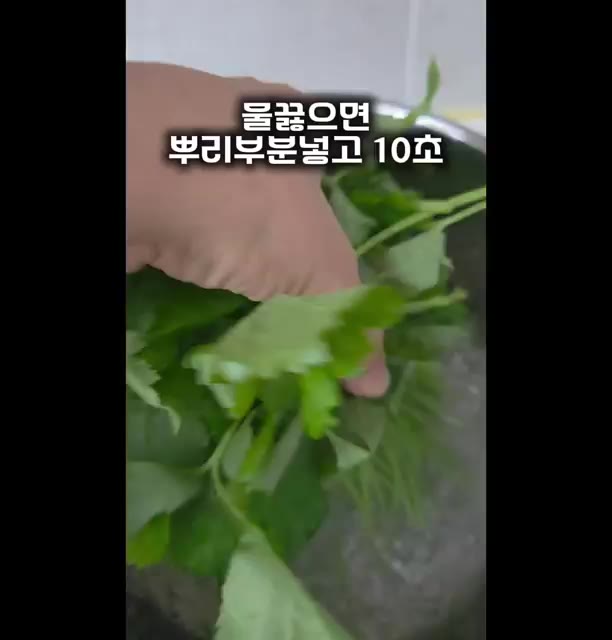 참나물 한 봉지를 씻어서 반으로 잘라줍니다. — 5분 초간단 참나물무침