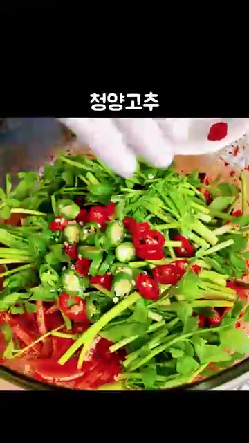 미나리, 썰어둔 청양고추와 홍고추, 남은 양념장과 통깨를 넣고 가볍… — 새콤상큼 입맛 살리는 '오징어초무침' 레시피