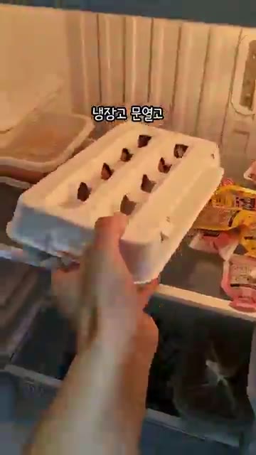 에그쿠커에 물을 계량컵으로 한 컵 넣는다. 상온에 두어야 더 잘 까… — 고시원 삶은 계란