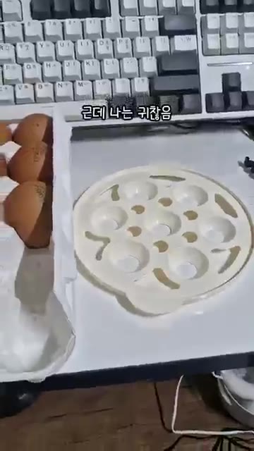 계란 4개를 에그쿠커 트레이에 올린다. — 고시원 삶은 계란