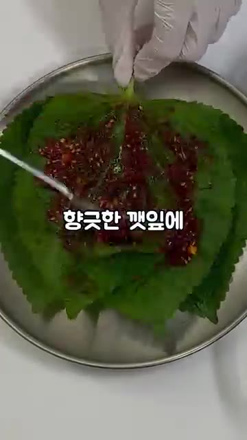 깻잎 한 장 한 장에 양념장을 골고루 발라줍니다. — 밥도둑! 매콤달콤 초간단 깻잎김치 만드는 법