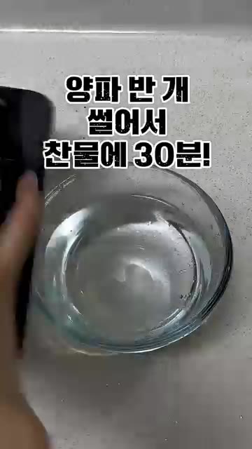 양파 반 개를 썰어 찬물에 30분간 담가 매운맛을 뺀다. — 집에서 간단하게 만드는 연어초밥