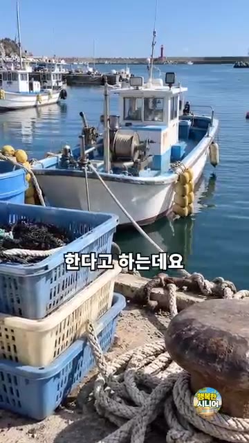 포구의 생선 가게 사장님들도 이 방법으로 전어를 굽는다고 합니다. — 전어 손질하자마자 굽지 마세요! 비린내 없이 굽는 법