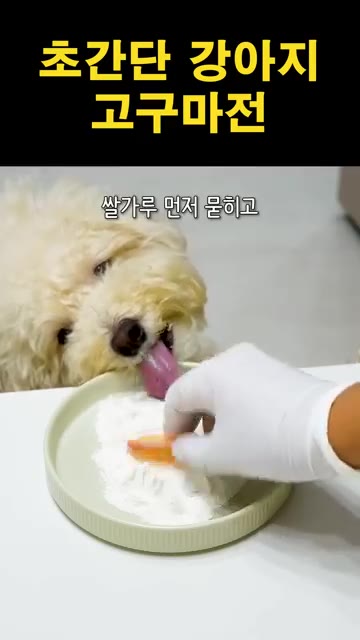 고구마를 적당한 두께로 썰어 쌀가루를 묻힌다. 계란물을 입힌다. — 초간단 강아지 고구마전 만들기