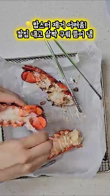 에어프라이 망에 갑각류를 가지런히 올립니다. — 간단하게 비쥬얼까지 챙기자! 맛보장 버터갈릭 새우&랍스터