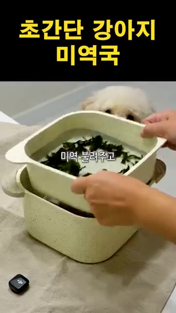 건미역을 물에 불려줍니다. 냄비에 물을 붓고 미역을 넣어 살짝 데쳐… — 초간단 강아지 미역국 만들기