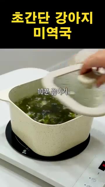 뚜껑을 덮고 10분간 끓여줍니다. — 초간단 강아지 미역국 만들기