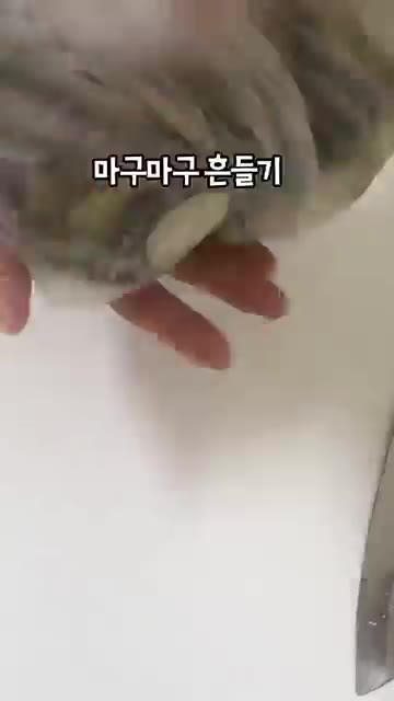 비닐봉지에 가지를 넣고 감자전분 2큰술을 넣어 골고루 묻혀주세요. — 과자 대신 가지 어때요?🍆 바삭바삭 NO튀김 가지부각