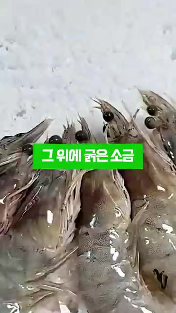 쿠킹호일이나 은박지를 깔고 그 위에 굵은 소금을 넉넉히 올린 다음… — 새우소금구이 할 때 절대 그냥 굵은소금에 굽지마세요!