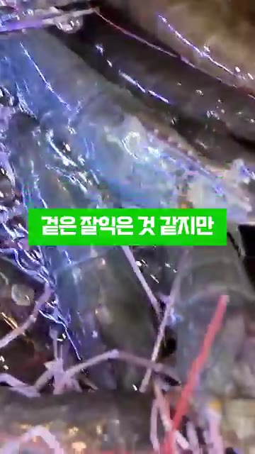 이렇게 하면 겉은 잘 익은 것 같지만 껍질은 타고 속살은 퍽퍽해집니다. — 새우소금구이 할 때 절대 그냥 굵은소금에 굽지마세요!