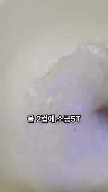 종이컵 2컵 분량의 물에 소금 5큰술을 녹여 소금물을 만들고, 손질… — 아삭함이 미쳤다! 오이소박이 황금레시피