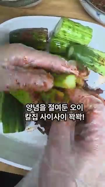 소금물에 절여 물기를 뺀 오이를 꺼내 칼집 낸 사이사이에 양념을 꼼… — 아삭함이 미쳤다! 오이소박이 황금레시피