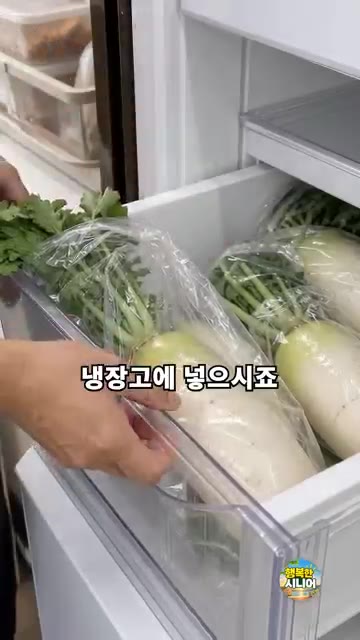 무를 깨끗이 씻어서 봉지째 냉장고에 넣으시나요? — 무 씻어서 봉지째 냉장고에 넣지 마세요! 아삭함 오래가는 시니어 살림 요리