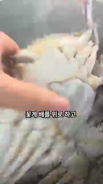 삶은 꽃게는 등딱지와 아가미 등 먹지 않는 부분을 제거하고 4등분으… — 꽃게로 만드는 매콤 달콤 별미 칠리크랩