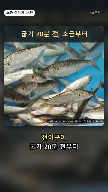 전어구이는 굽기 20분 전에 소금을 뿌려둡니다. — 전어구이, 굽기 20분 전에 소금 뿌리는 이유