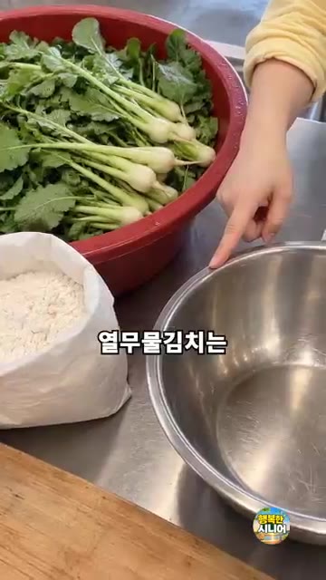 열무물김치를 담글 때 밀가루풀을 쑤어 식히는 대신, 밥 한 공기를… — 열무물김치 밀가루풀 쑤지 마세요! 간편하고 시원한 시니어 건강 집밥 요리