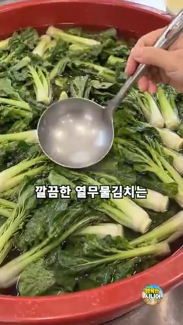 믹서에 간 밥물을 체에 걸러 김치 국물에 넣습니다. — 열무물김치 밀가루풀 쑤지 마세요! 간편하고 시원한 시니어 건강 집밥 요리