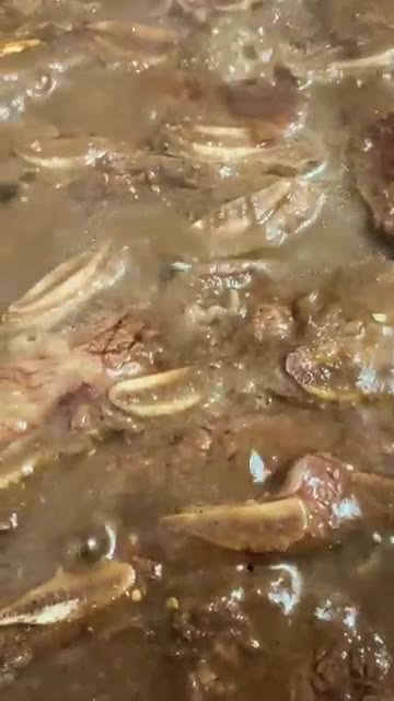 팬에 양념된 LA갈비를 올린다. — 양념갈비 파티