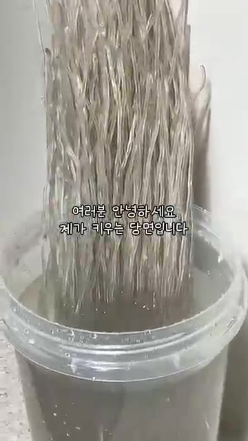 당면을 불려 준비하고, 계란은 미리 깨서 소금과 함께 섞어둡니다. — 얼큰하니 끝내줍니다🔥 #집밥 #반찬 #부모님 #반찬만들기 #얼큰계란탕