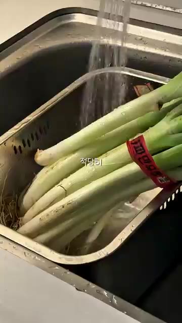 대파 뿌리를 제거하고 적당한 크기로 썰어 지퍼백에 소분한다. — 대용량 야채 소분 레시피